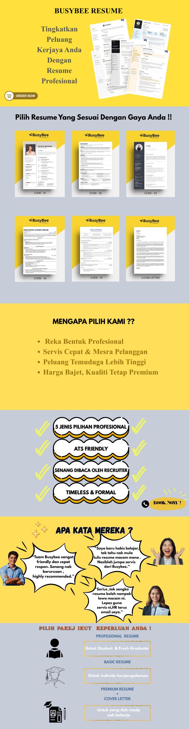 Resume Professional Busybee